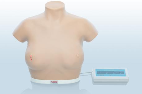 電子乳腺癌觸診、視診訓(xùn)練模型